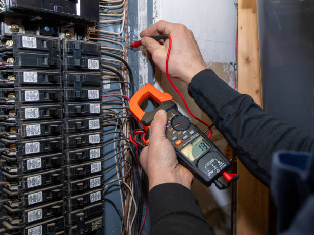 Best Residential Electrician Services  in The Plains, OH