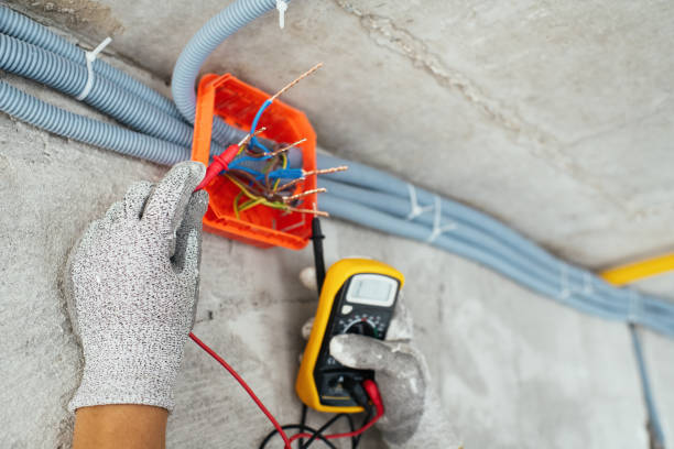 Best Electrician for Home Renovation  in The Plains, OH